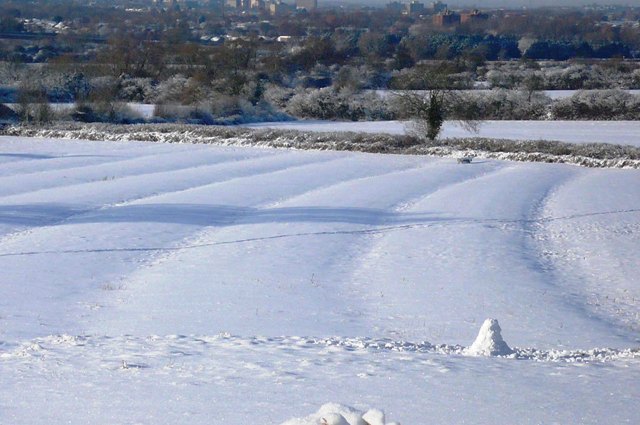 Ridge and furrow field in snow
